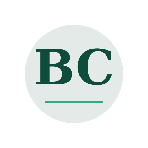 Brli Chimney Services logo